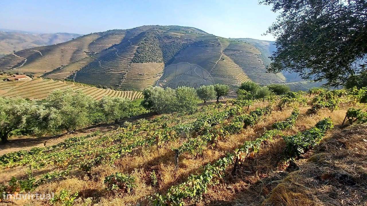 Quinta  para venda-12