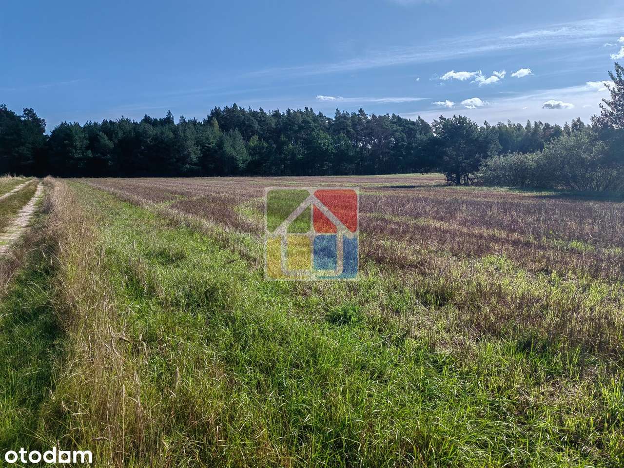 Duża działka rolno-budowlana w okolicy Gostynina-5