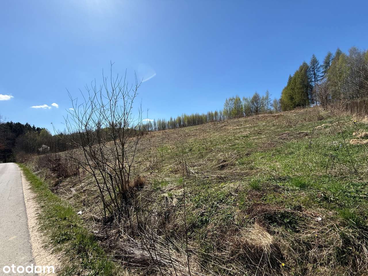 Jerzmanowice,działki budowlano-rolne 4237m2, ok.Jaskini Nietoperzowej-8