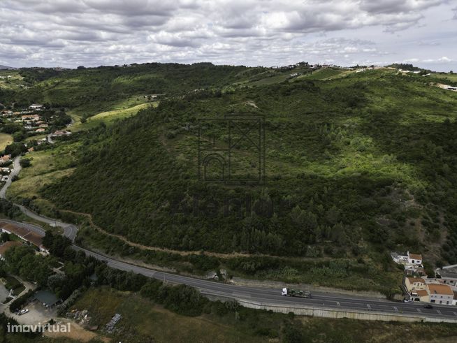 TERRENO MISTO COM 48Ha EM ALENQUER!-11