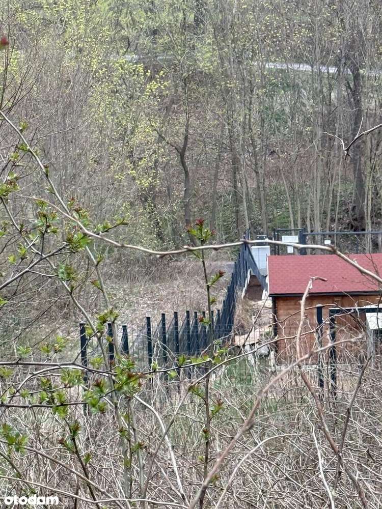 Działka z warunkami zabudowy - las, dostęp do drogi. Inwestycja.-16