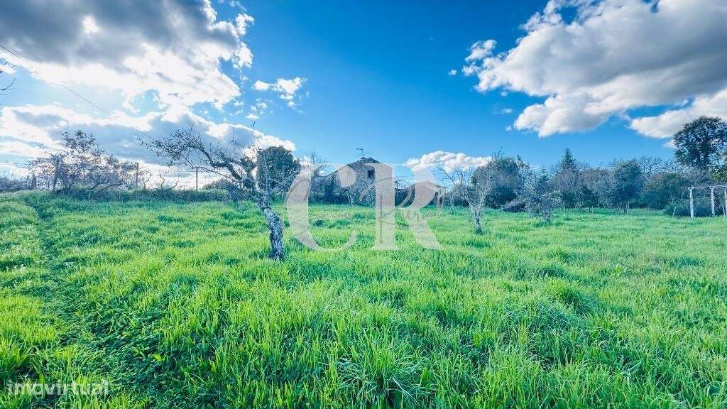 Quinta com casas de pedra para recuperar, poço e furo-37