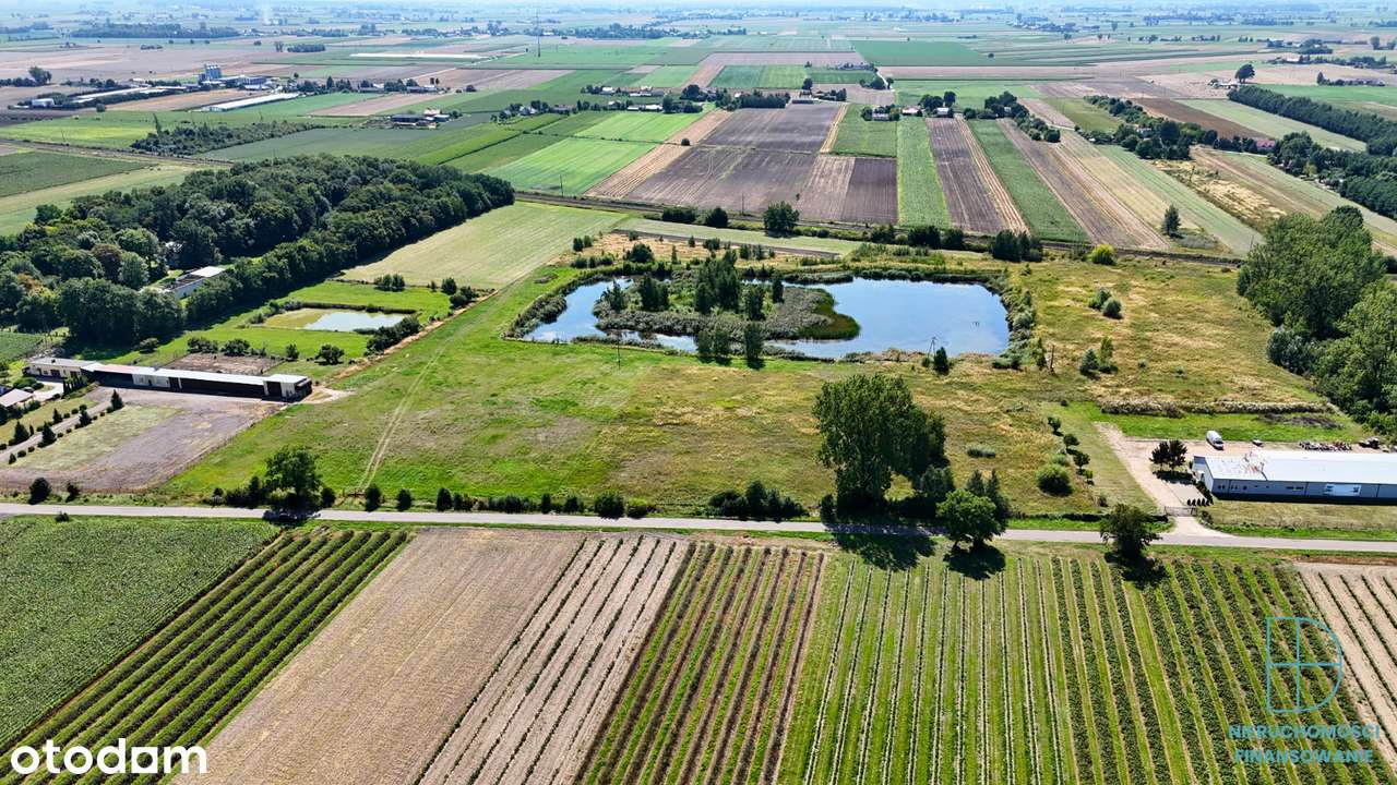 Działka inwestycyjna 7,4 ha ze stawem – przy DK92 i A1 - Pełny obrazek: 5/14