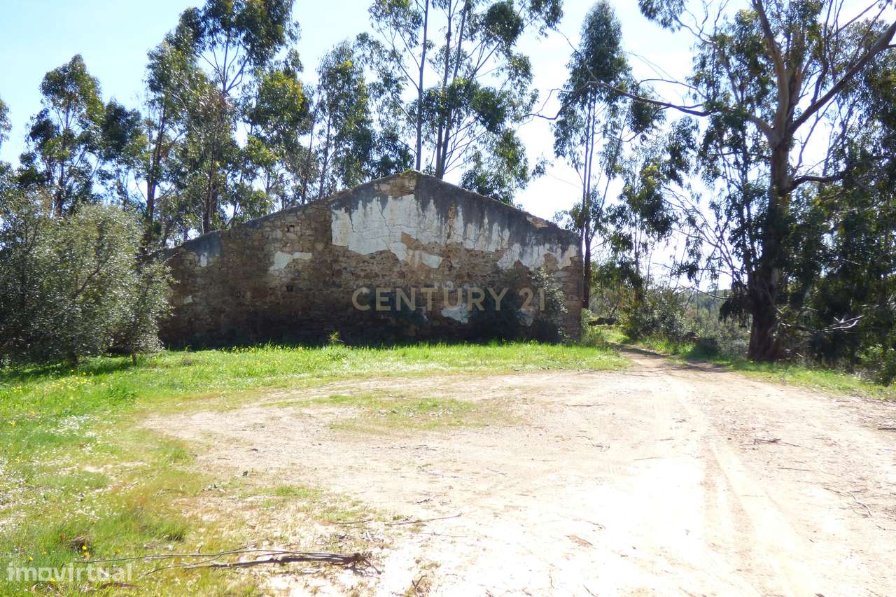 Herdade no Algarve, excelente  para turismo rural, ou Habitação. Tem 1 - Grande imagem: 2/36