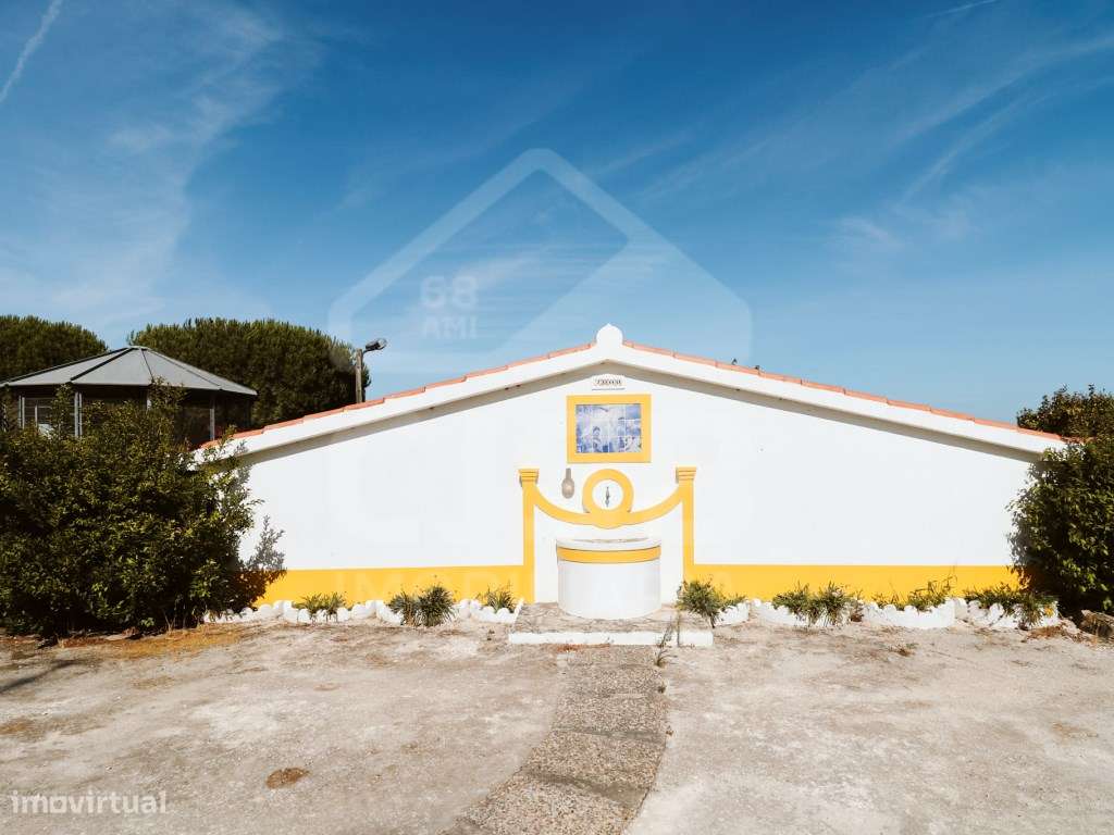 Quinta T5 na Branca-24