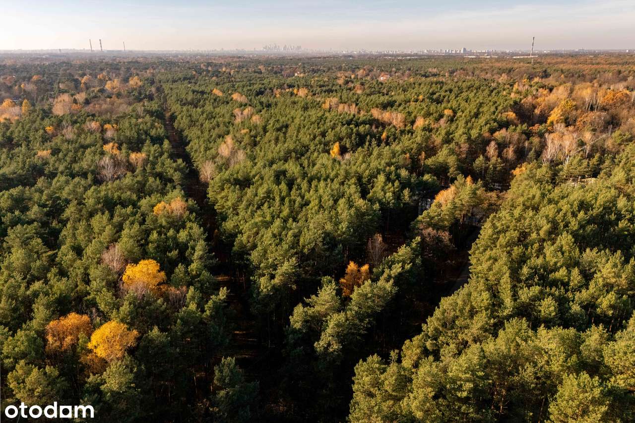 Ekskluzywna Działka pod Rezydencję w Radości-2