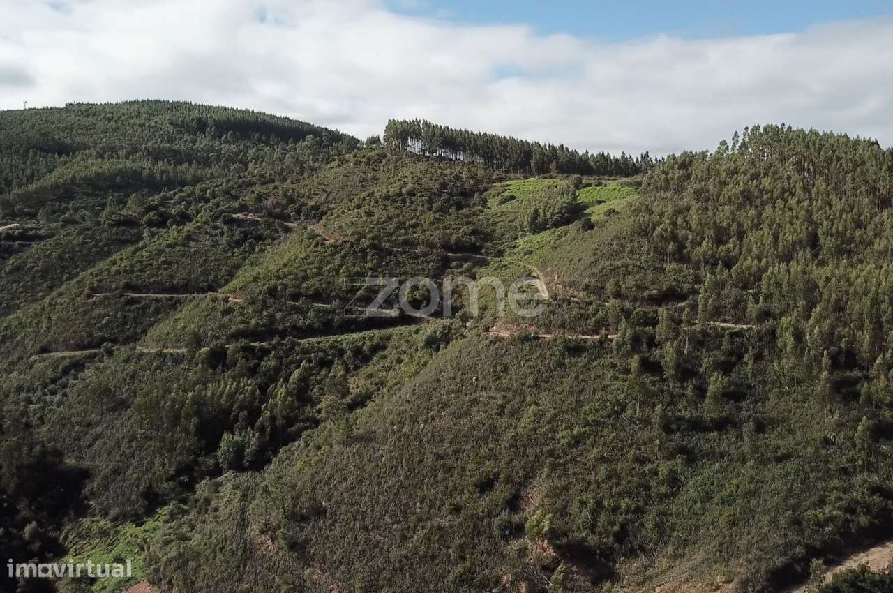 Terreno rústico em Alferce, Monchique - Grande imagem: 4/15