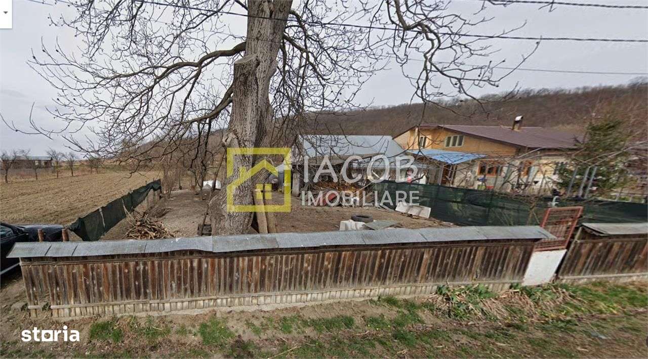 OFERTA !!! Teren intravilan, strada Potcoavei, sat Tamasi, judet Bacau - Imagine principală: 3/5