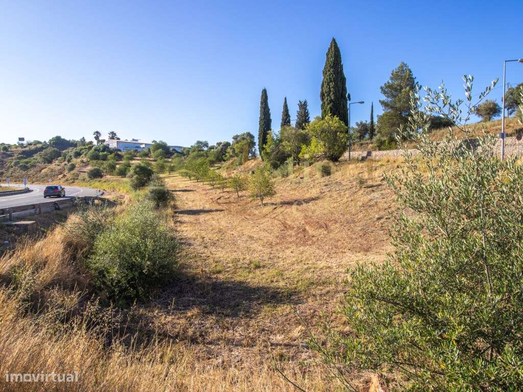 Terreno para construção de comercio e serviços - Grande imagem: 4/18