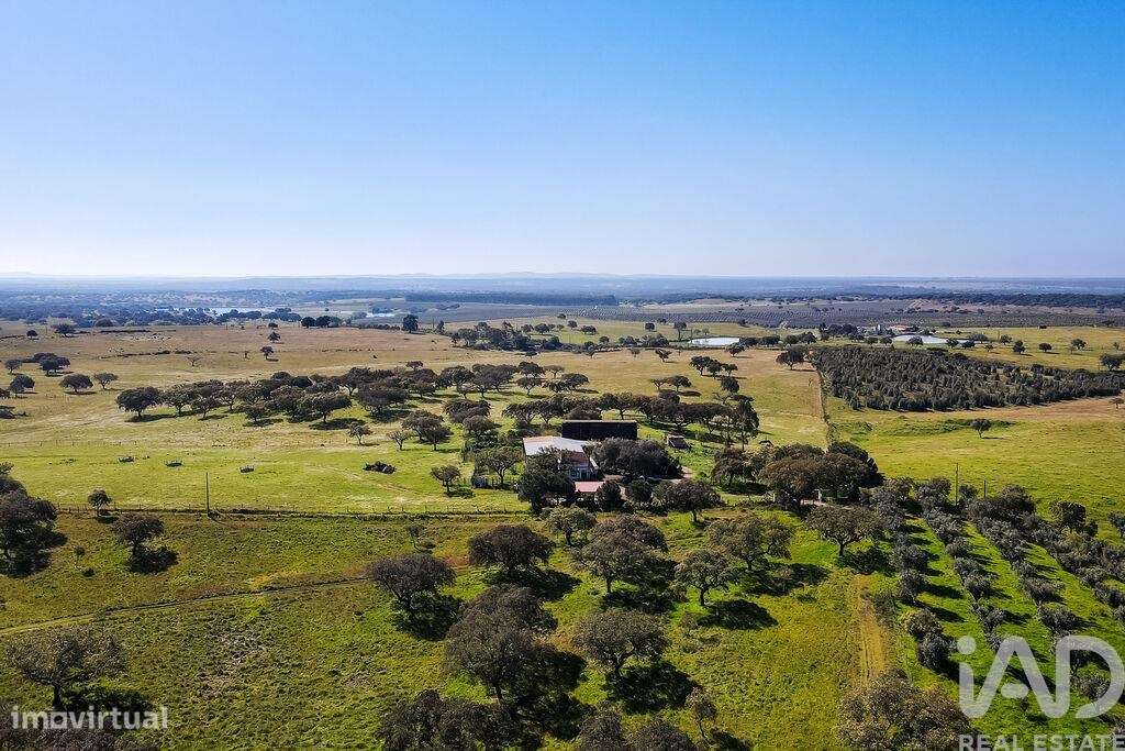 Propriedade em Santiago do Escoural de 450000,00 m2 - Grande imagem: 4/30