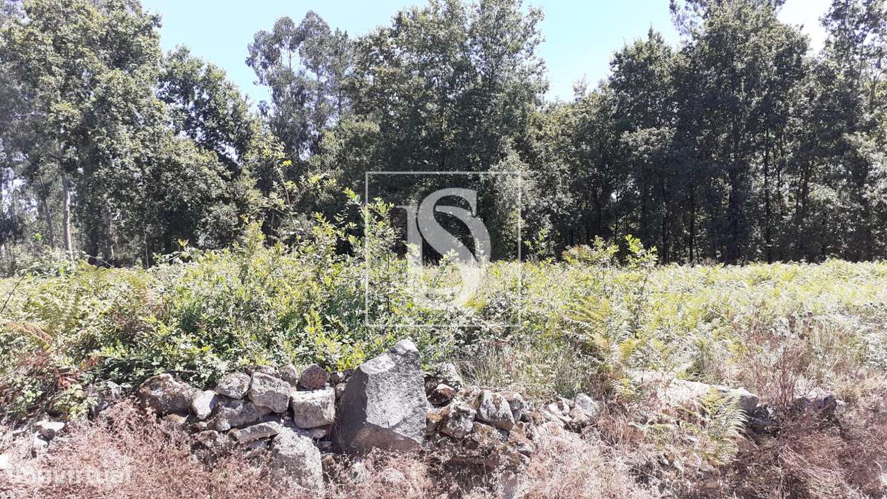 Terreno  Venda em Ucha,Barcelos - Grande imagem: 5/6