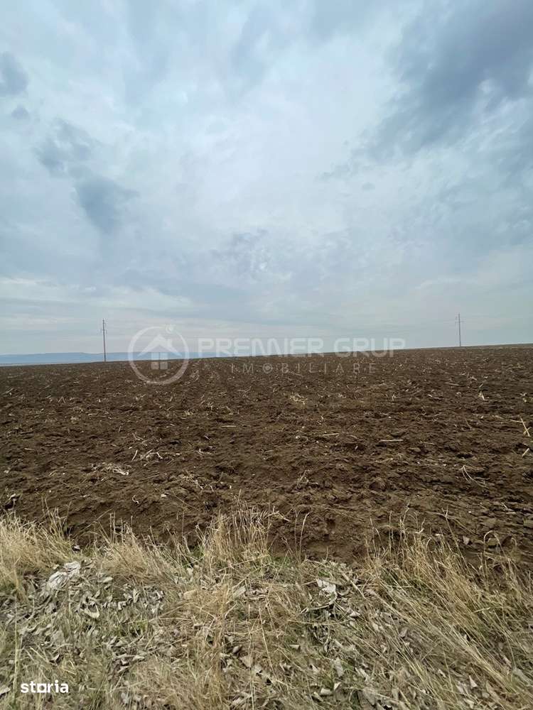 Teren Miroslava - Ferma Liliac, 20.000mp - Imagine principală: 3/7