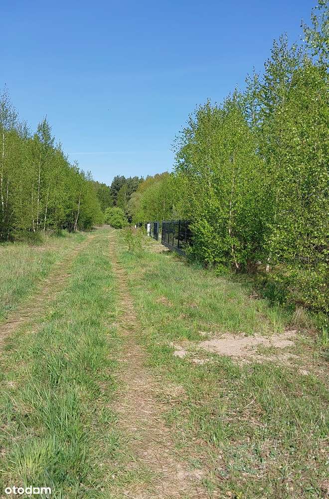 Jania Góra 1220m2 prąd, woda - Pełny obrazek: 4/16