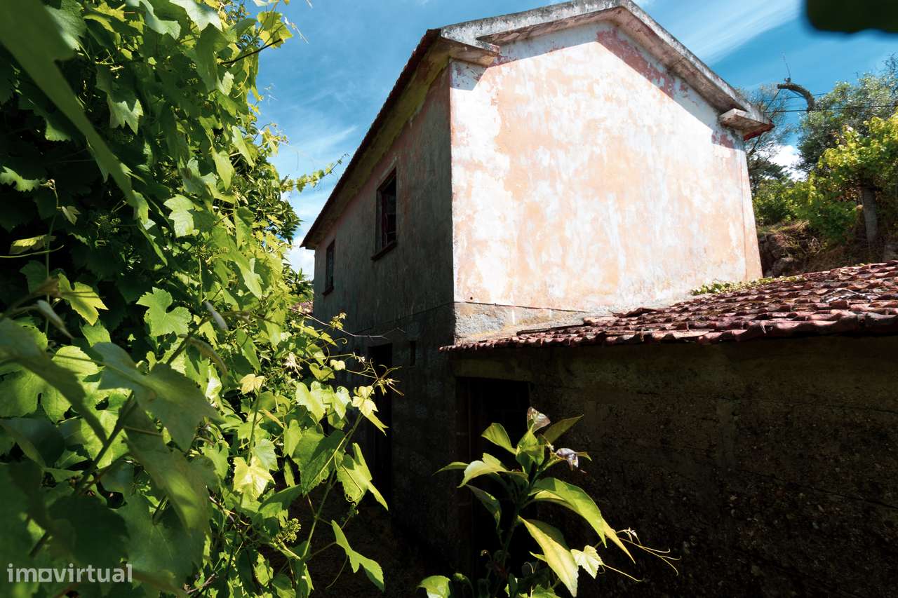 Quintinha com Vista para o Rio Douro – Baião-7