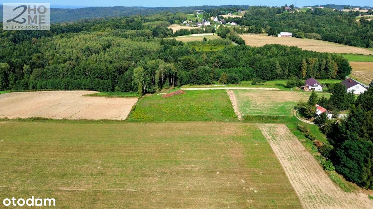 Twój kawałek spokoju - 38 arów w Gębiczynie-4