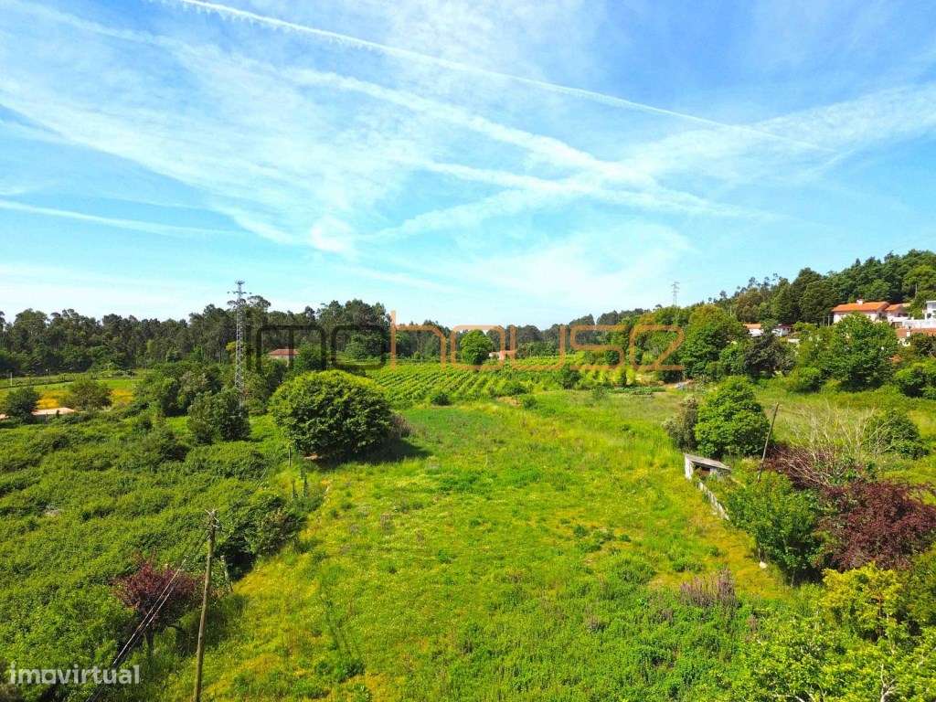 Quinta Tradicional com Terreno Plano e Ribeiro - A 22 min. do Porto-15