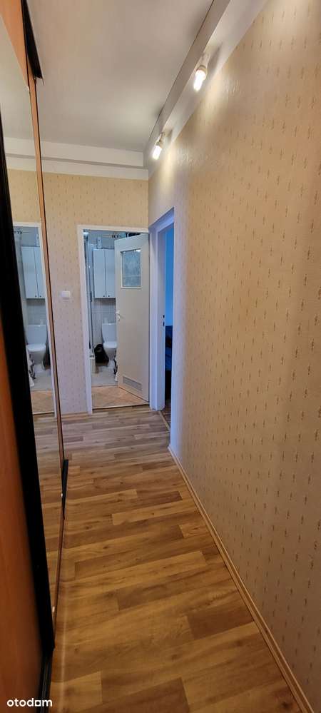 Doskonale zlokalizowane mieszkanie 2-pokojowe w Wrocławiu - Pełny obrazek: 2/5