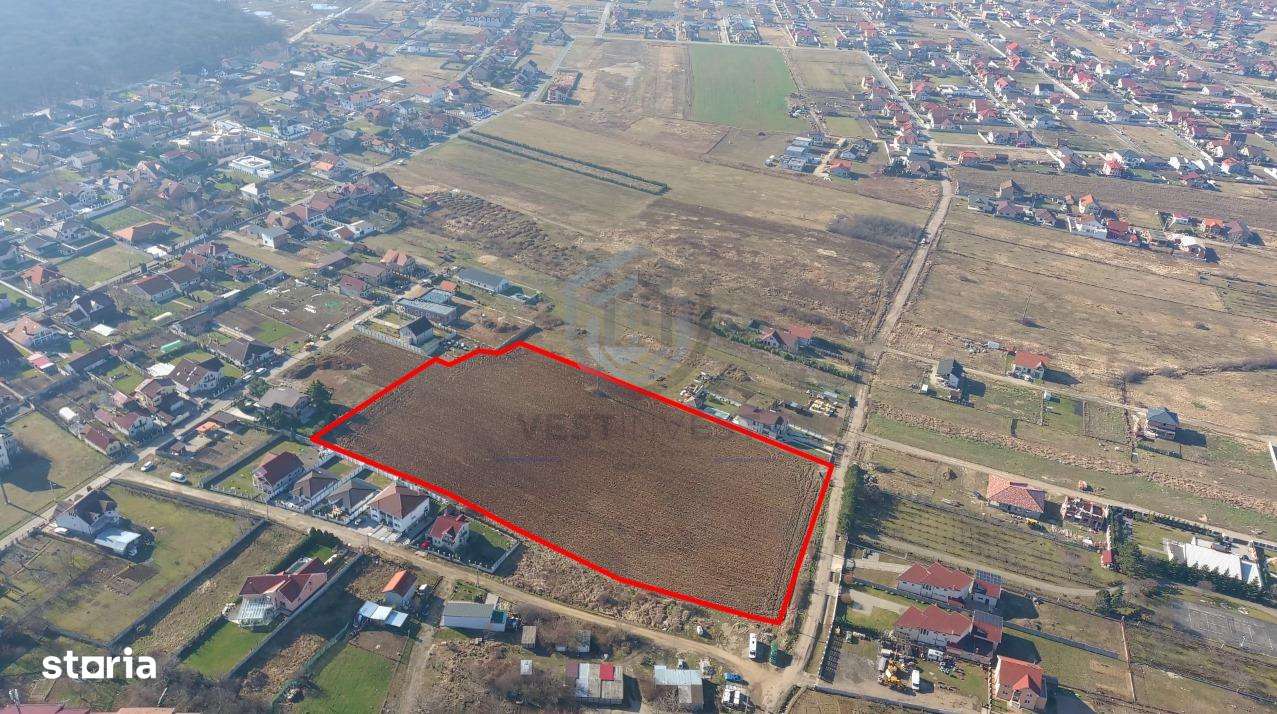 Teren intravilan Sanmartin P+4 - Imagine principală: 3/3