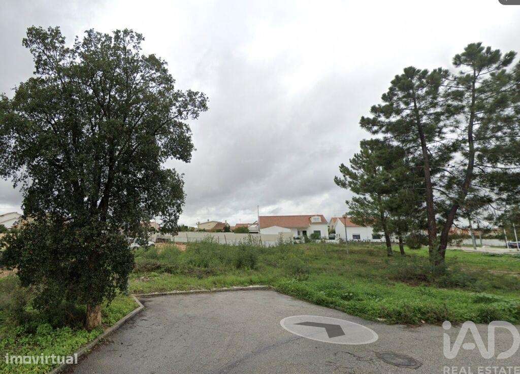 Terreno para construção em São Miguel do Rio Torto e Rossio ao Sul do - Grande imagem: 5/5