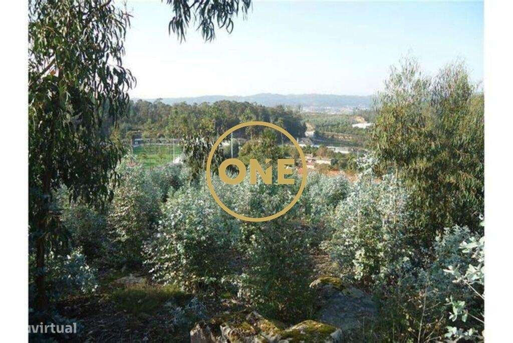 Terreno  para venda - Grande imagem: 5/5