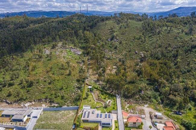 Terreno Florestal em Póvoa de Lanhoso-0
