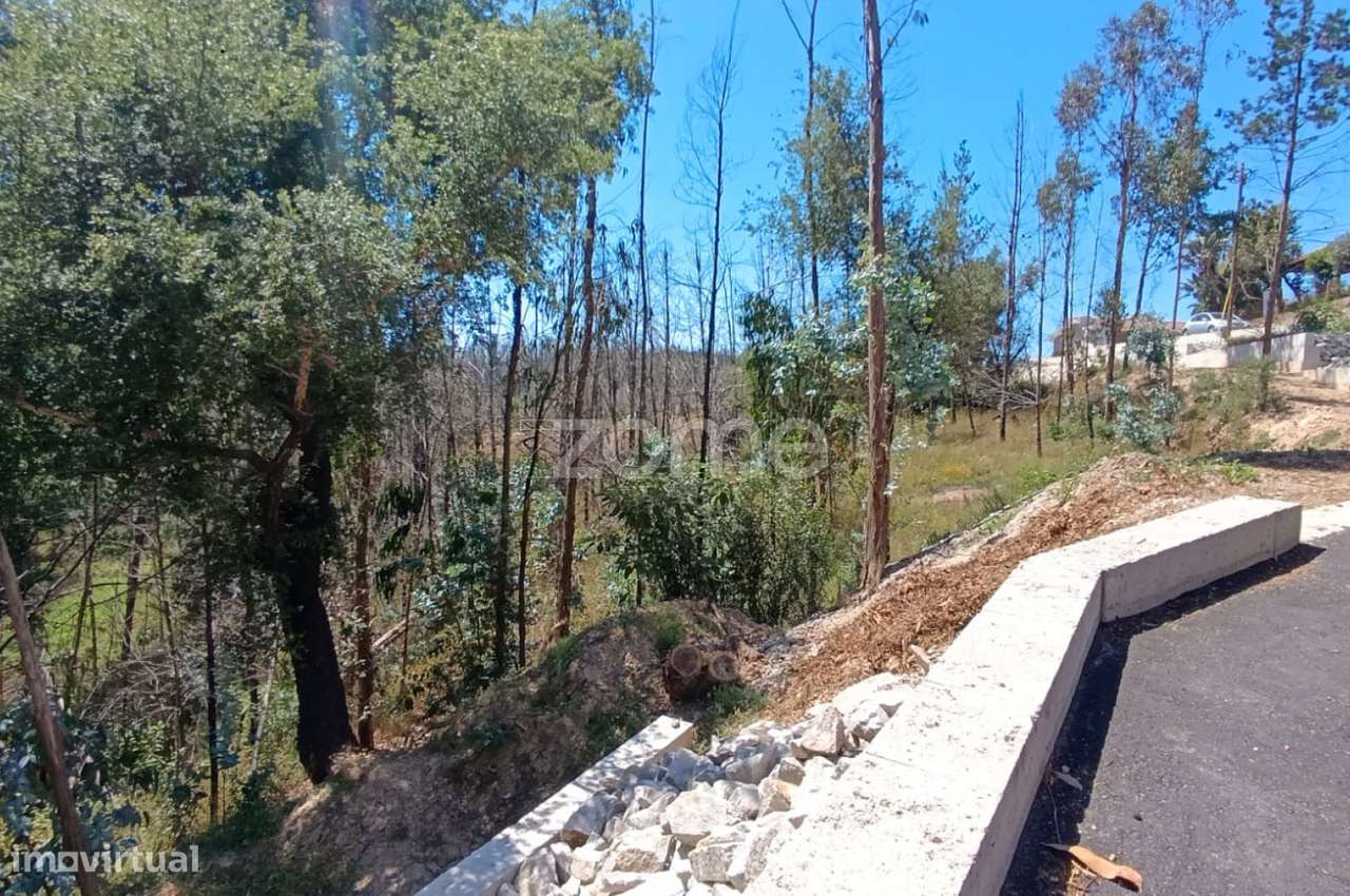 Terreno 1.412 m² | Construção, Habitação ou Indústria | Angeja-8