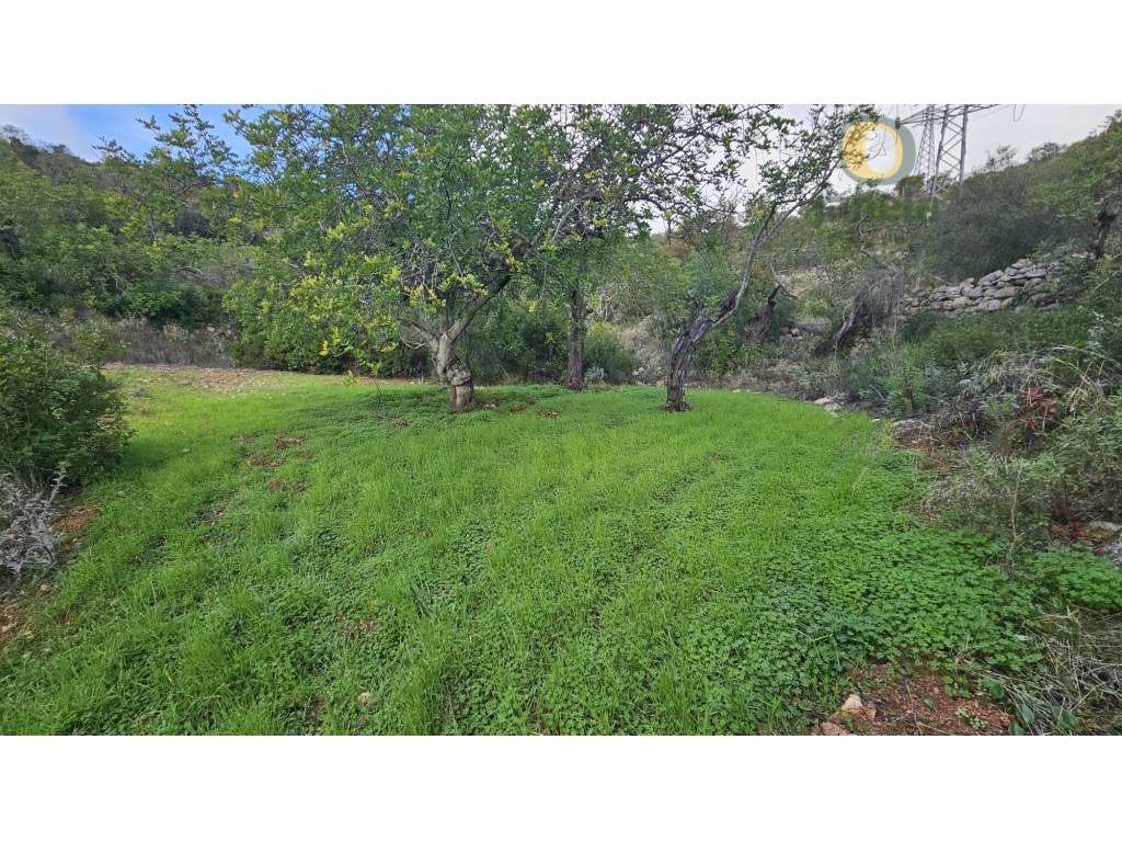 Terreno Rústico em Estoi com Poço-15