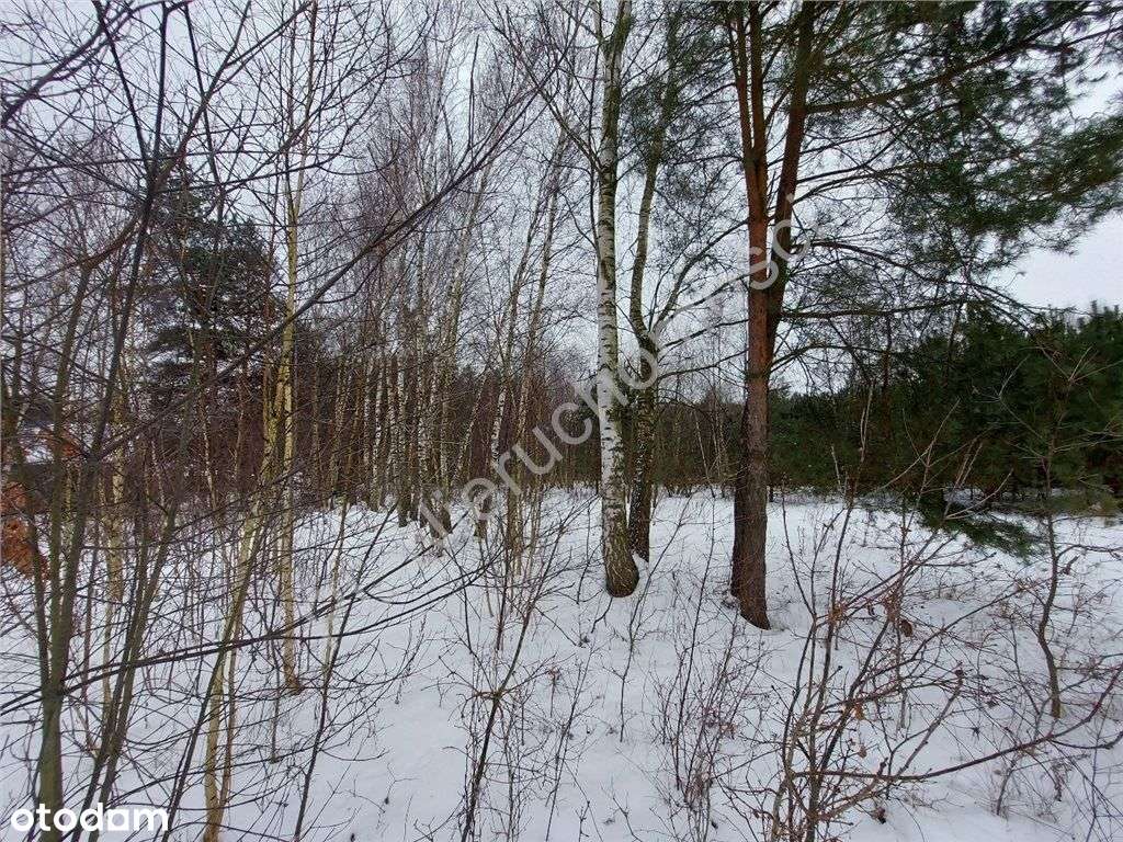 Plan Miejscowy, Wszystkie Media, Asfalt.-12