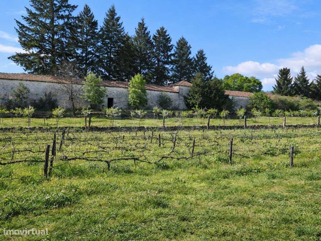 ATIVO TURÍSTICO + QUINTA DE EXCEÇÃO NA BEIRA ALTA-8