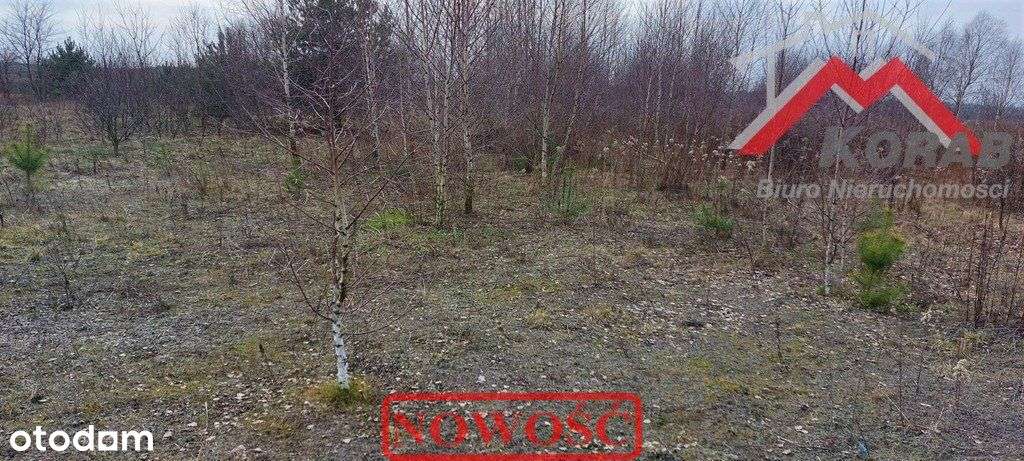 Budowlano-inwestycyjna-4