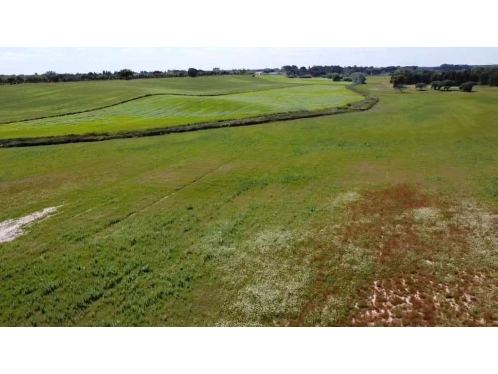 TERRENO DE 22,45 HA COM RUÍNA DE 240 M² PARA RECUPERAÇÃO EM FERREIR...-19