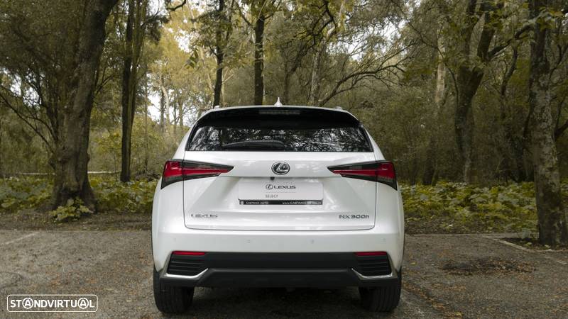 Lexus NX 300h Executive+ - 6