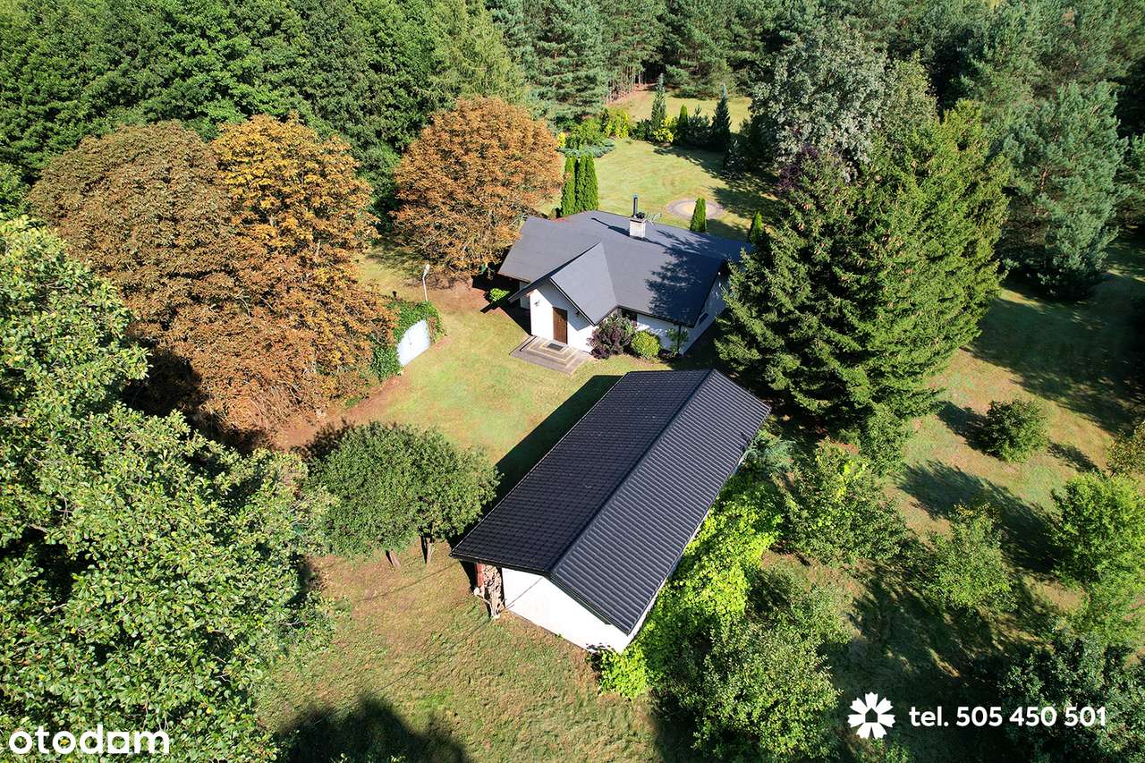 Siedlisko w lesie, działka 0,99 ha, malownicza okolica,cisza,natura - Pełny obrazek: 4/20