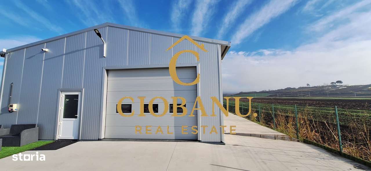 Hala de vanzare in Racarii de Jos-0