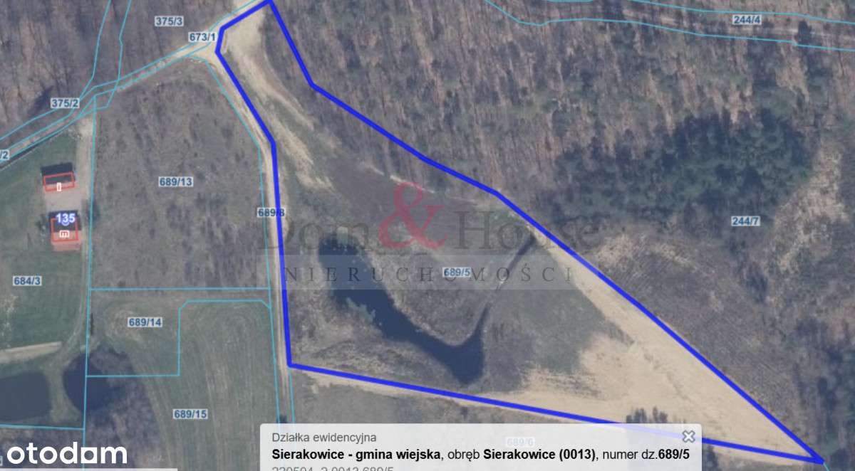 Działka z oczkiem wodnym przy lesie - Pełny obrazek: 5/7