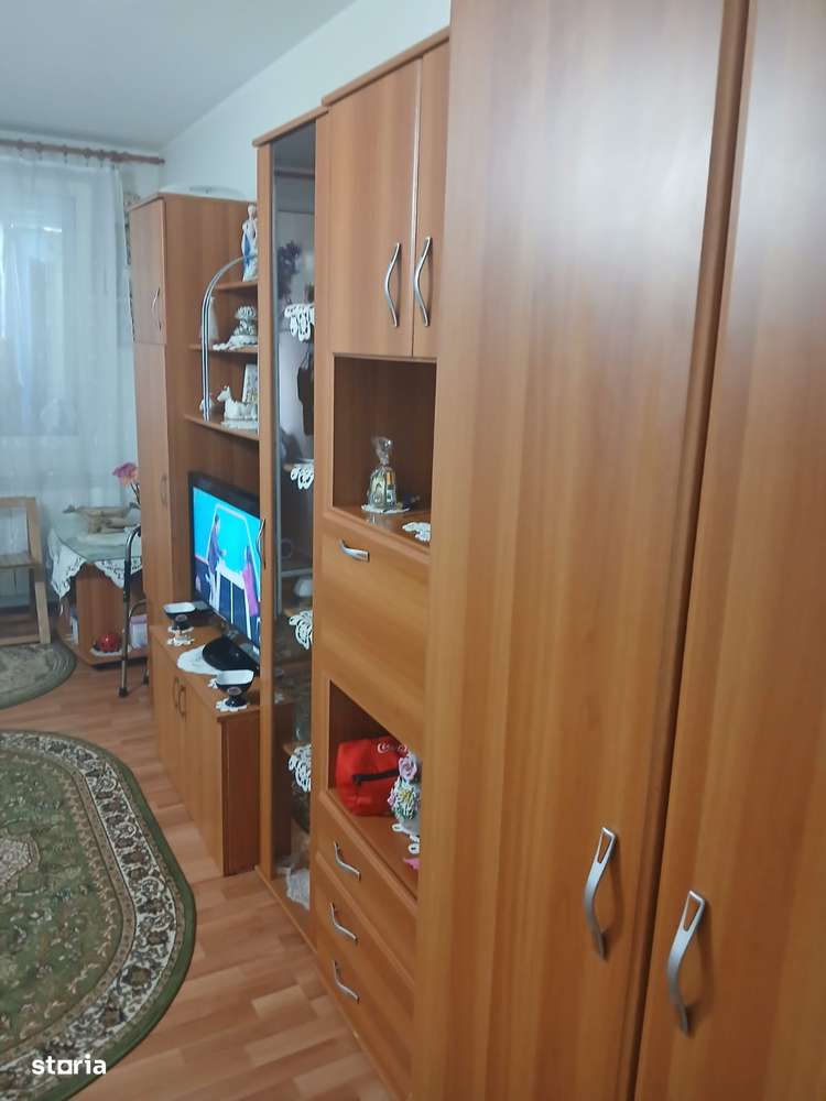 garsoniera vatra luminoasa-7