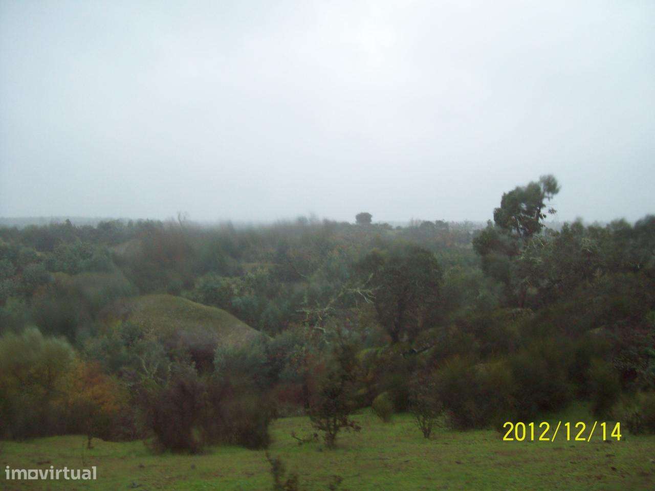 Herdade do Monte da Pedra.-18