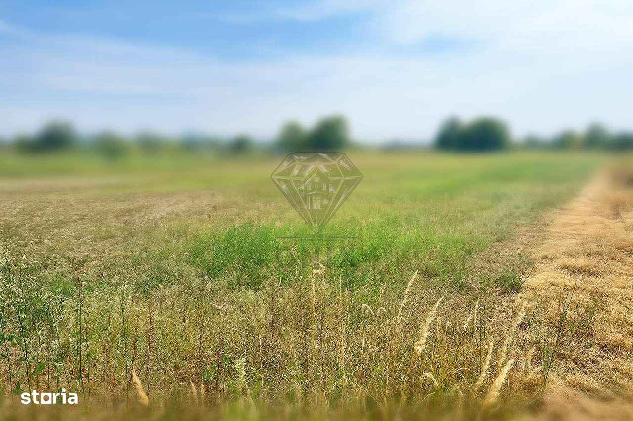 Teren intravilan de vanzare Lipanesti, parcelabil in loturi de 1000 mp - Imagine principală: 3/4