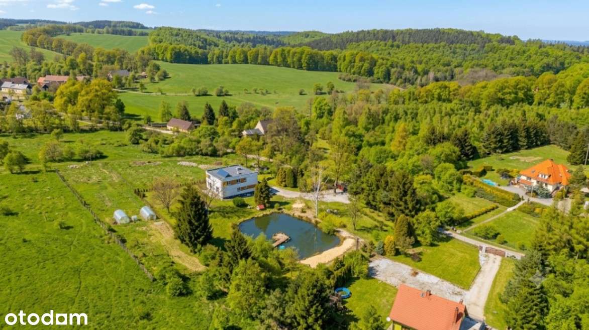 Miejsce na rentowny biznes | prywatna plaża | staw | wyspa | slow life