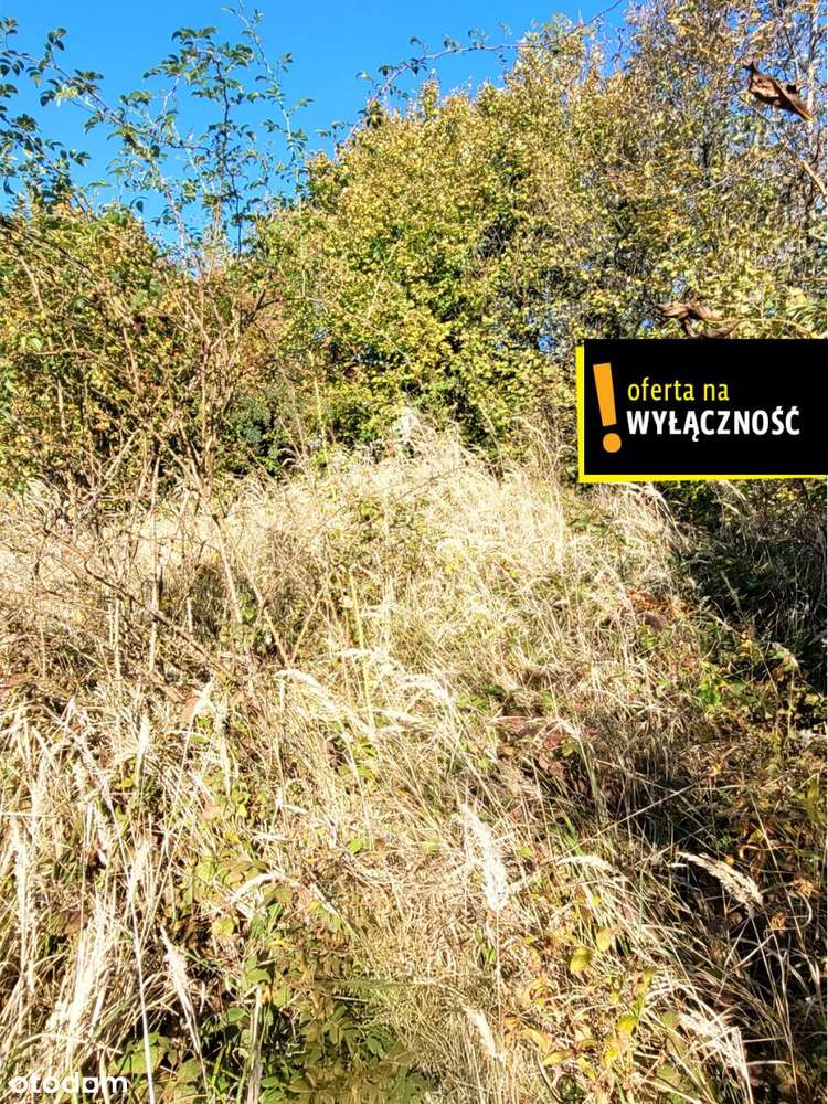 Na sprzedaż działka usługowa w Kielcach! - Pełny obrazek: 5/6