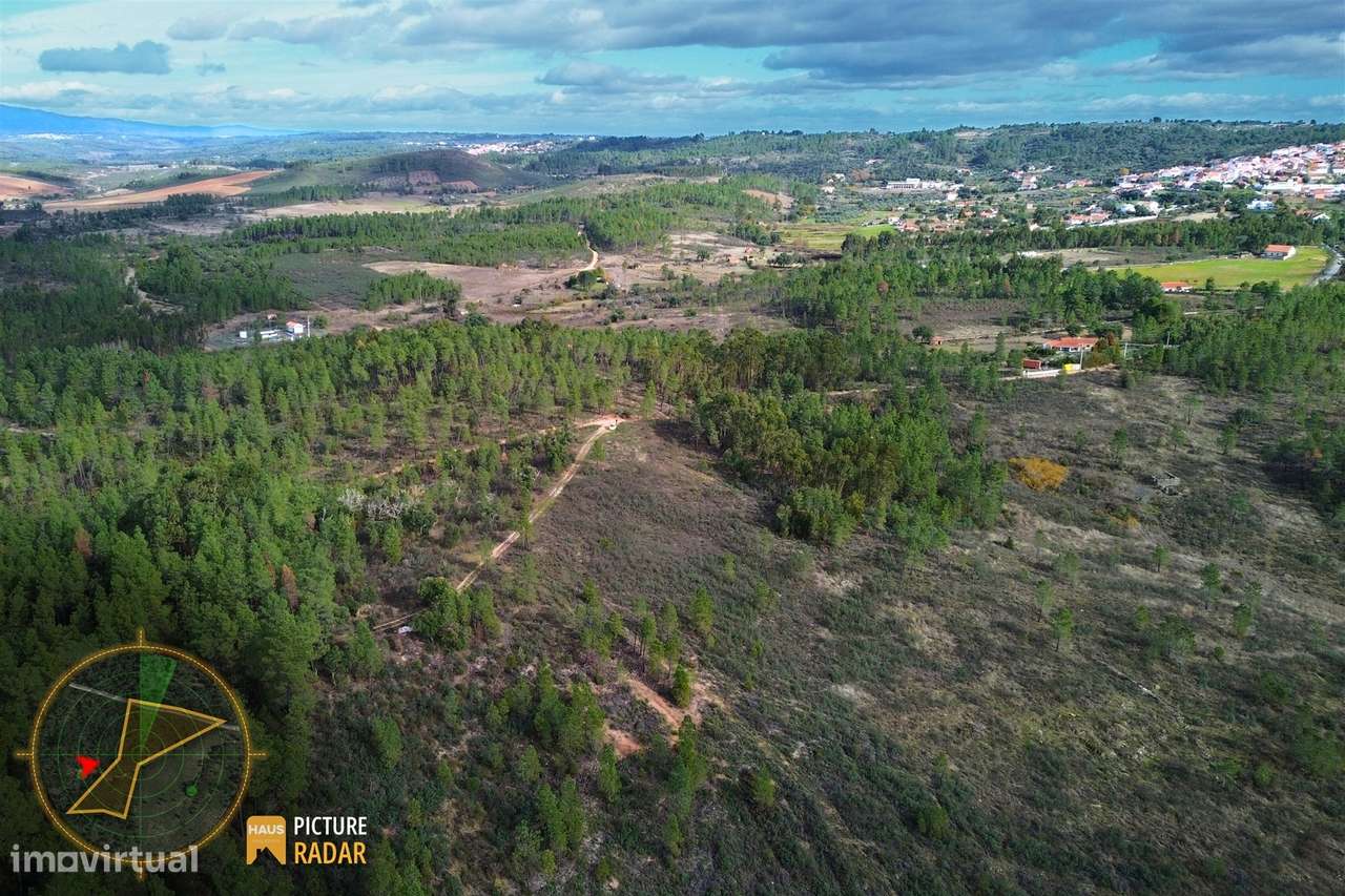 Terreno 1ha | Vistas de Vale | Salgueiro do Campo, PT-26