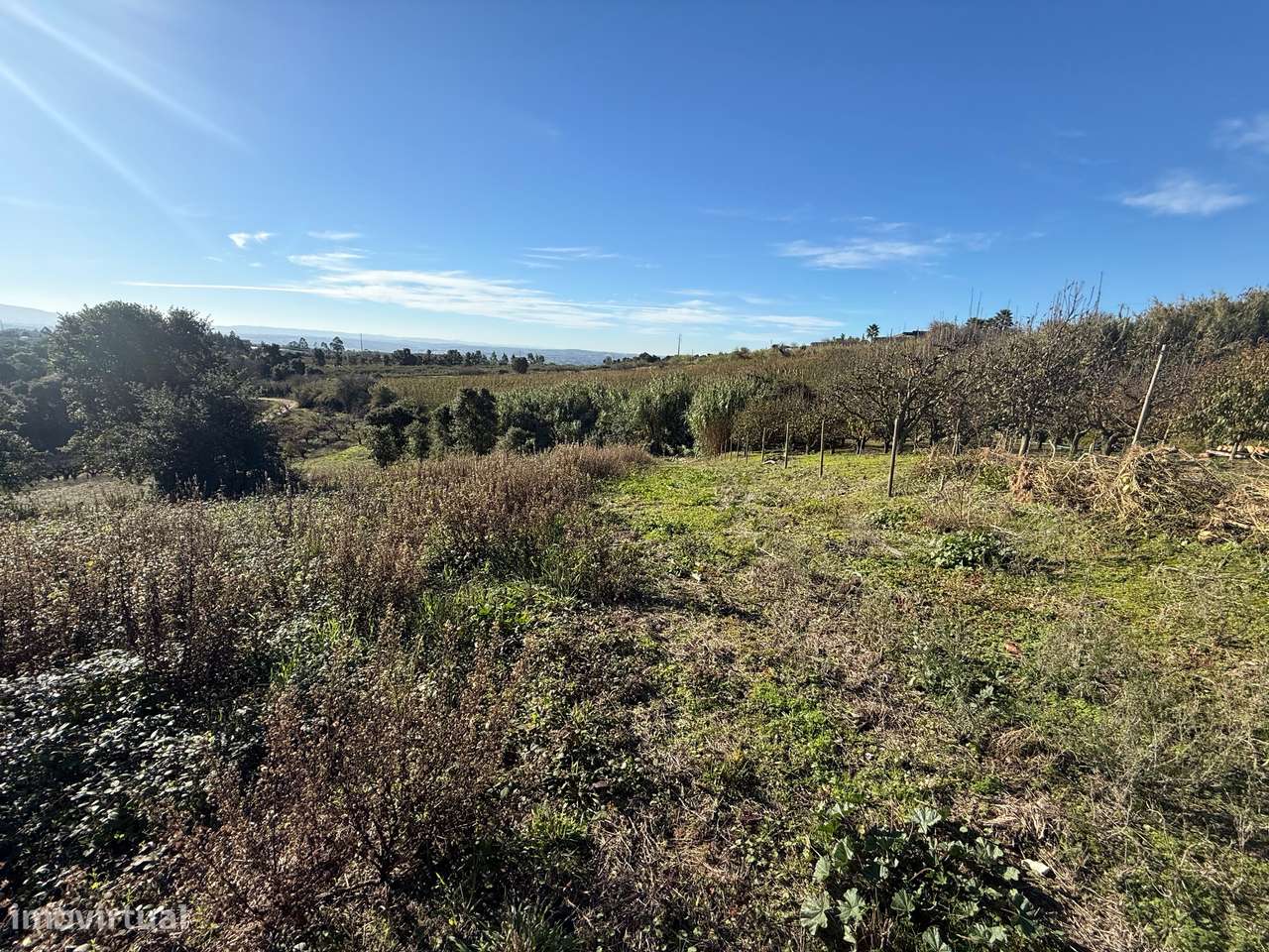 Terreno de 2.480m2 para construção - Usseira, Óbidos-8