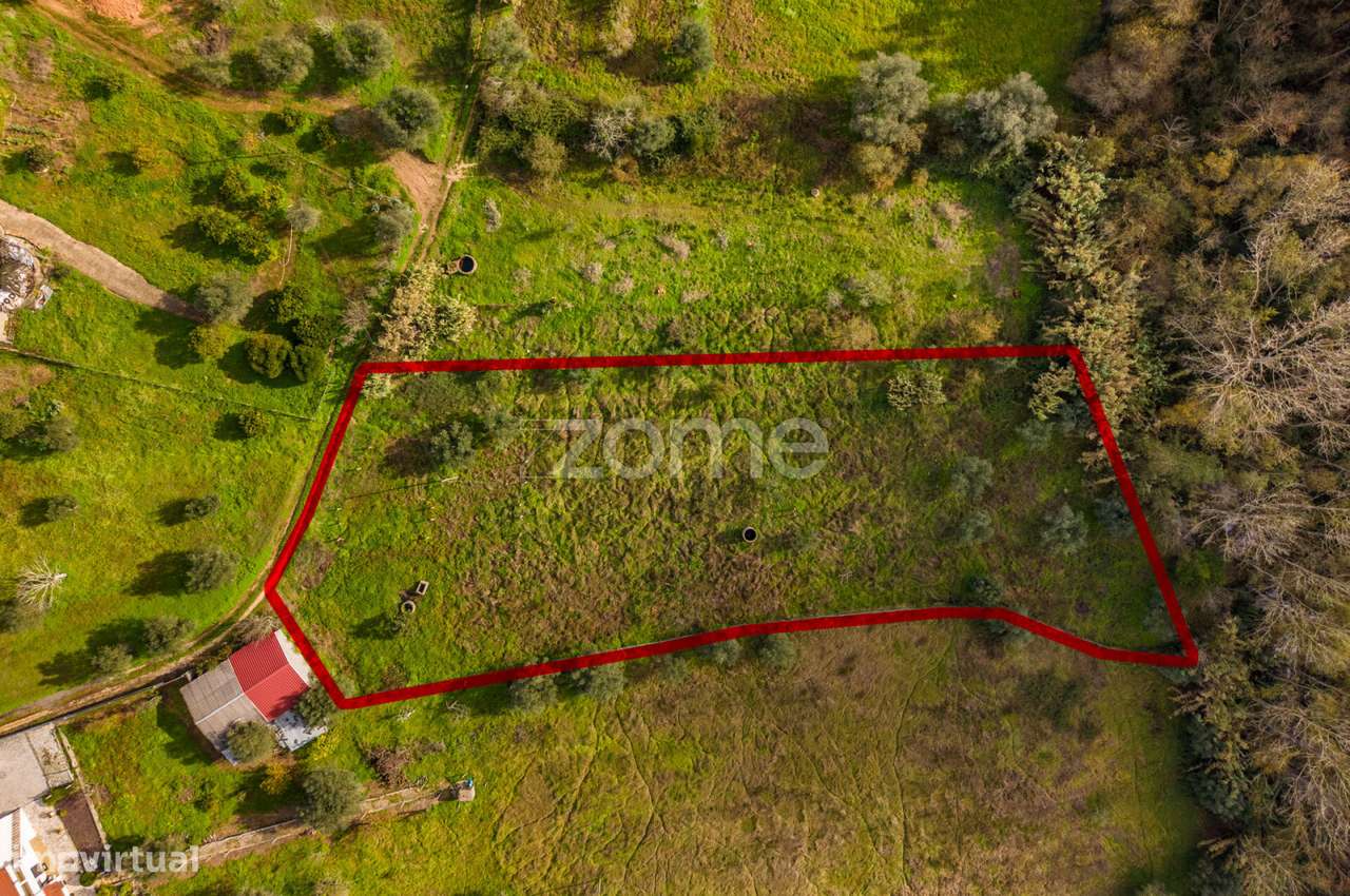 Terrenos Rústicos | Pelariga, Pombal - Grande imagem: 4/36