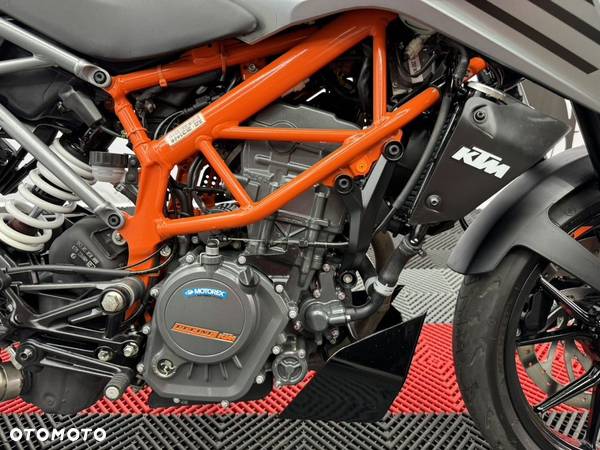 KTM Duke - 32