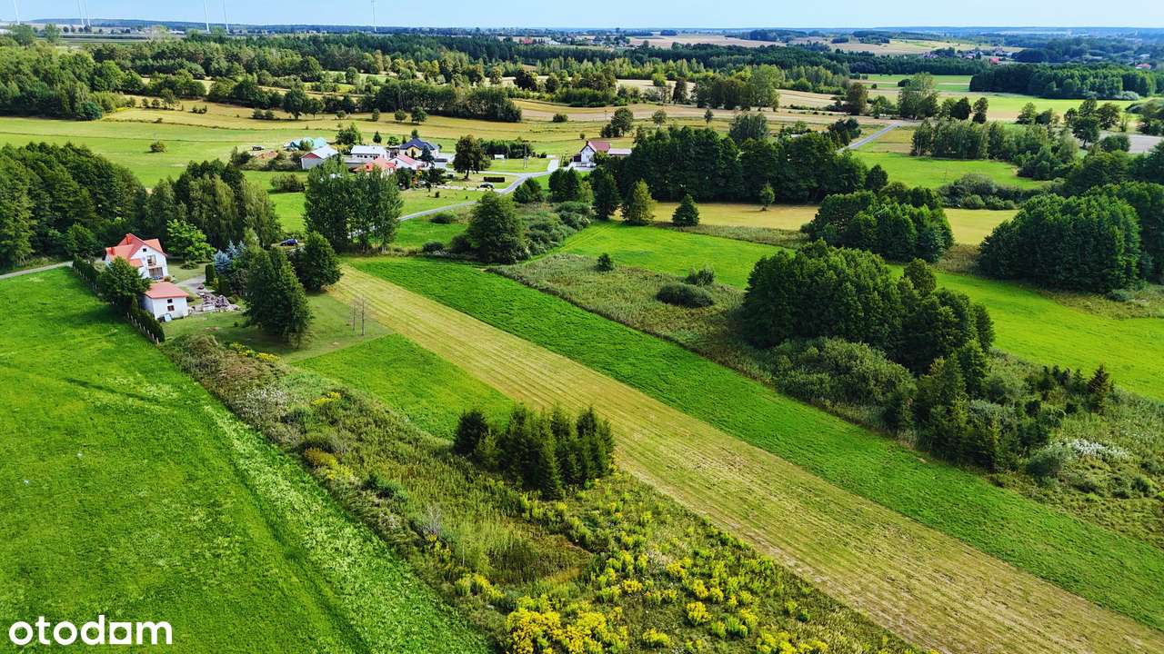 Działka rolna 8500 m2 w Boguszycach - Pełny obrazek: 5/14