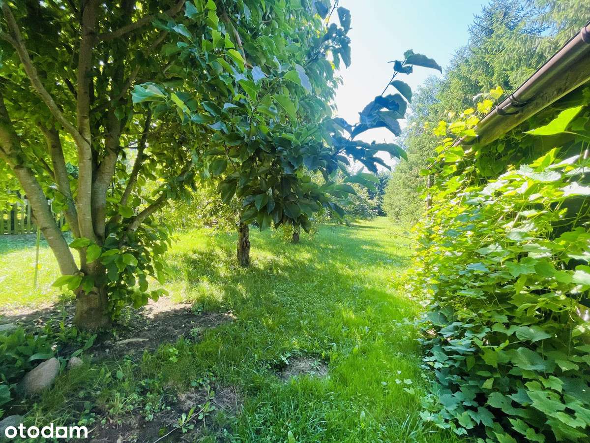 Dom 208,56m2+budynek gospodarczy 130,6m2; działka 1802m2; Zambrów-6