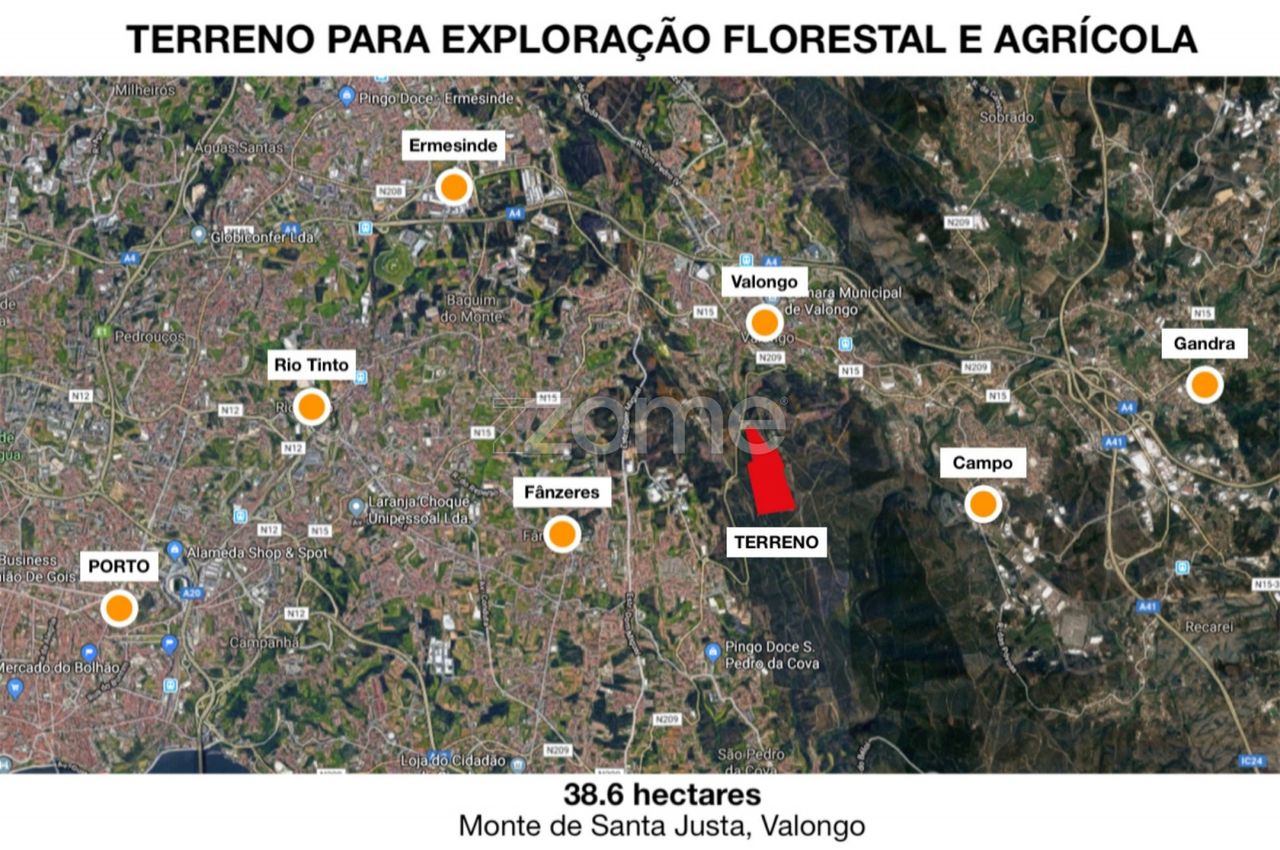 Terreno para exploração florestal e agrícola - Santa Justa, Valongo