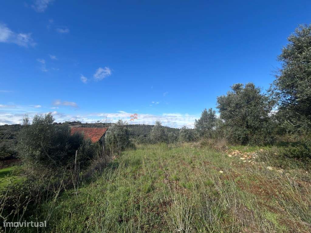 2 Terrenos rústicos c/ PDM urbano - Carvalhal da Póvoa, Tomar - Grande imagem: 4/24