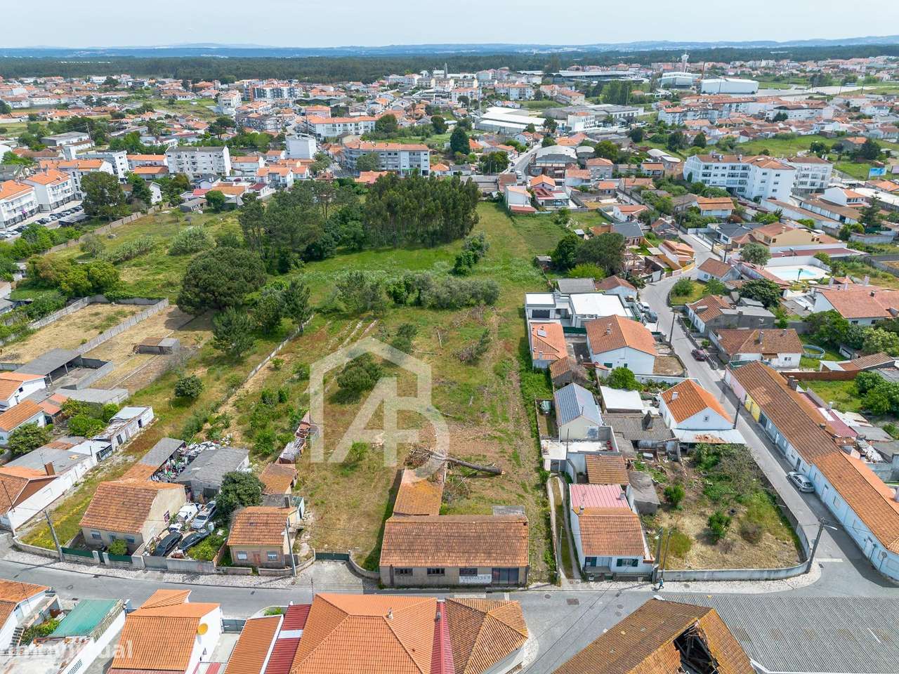 Terreno urbano e rústico com ruína – Marinha Grande-8