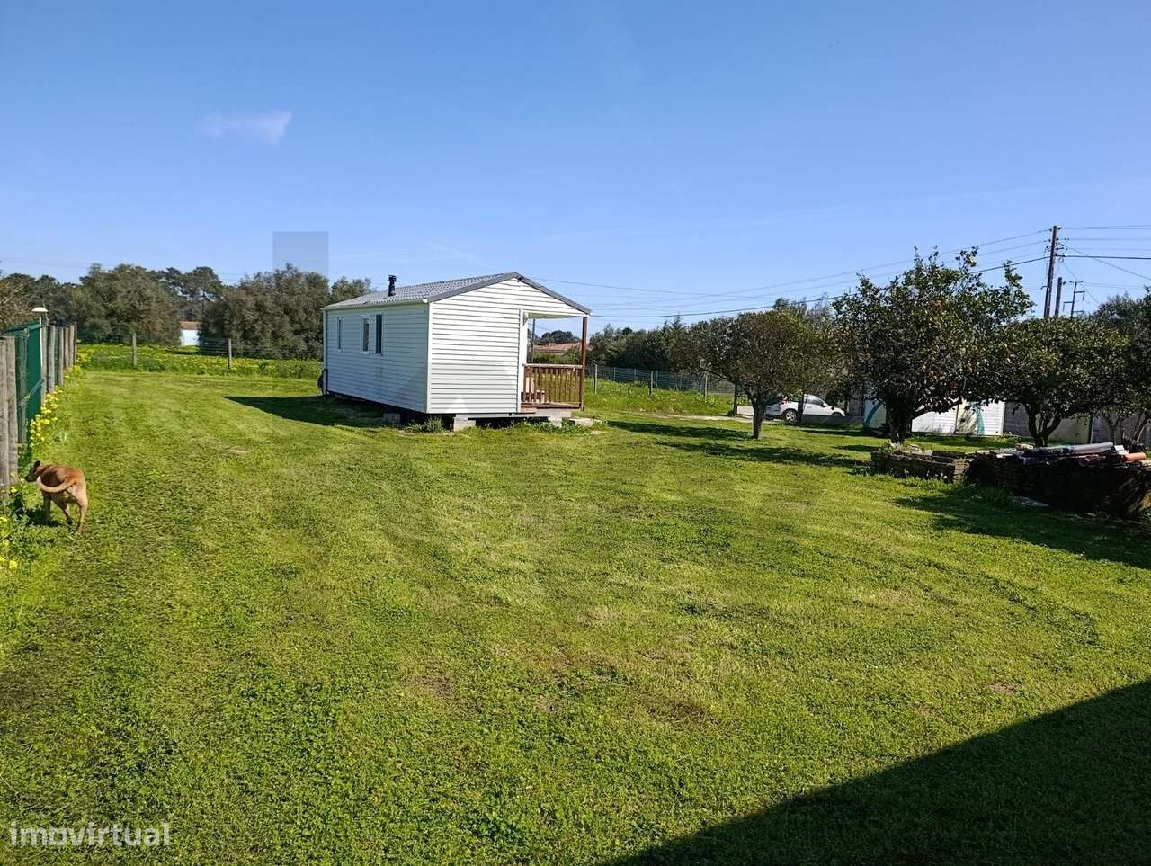 Terreno Urbano  de 4.000m2, Pontevel, Cartaxo-6